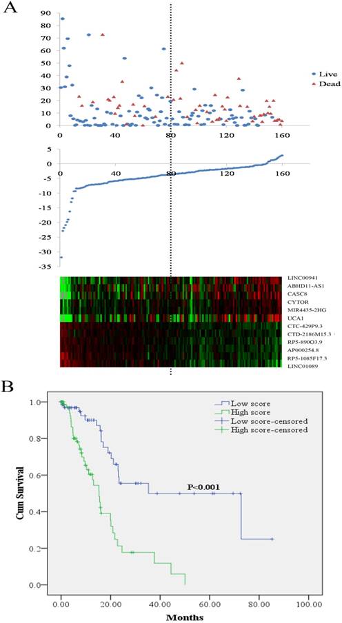 J Cancer Image