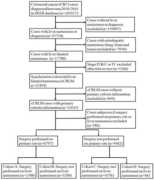 J Cancer Image