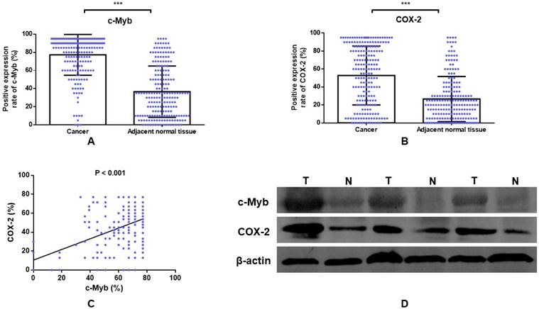 J Cancer Image