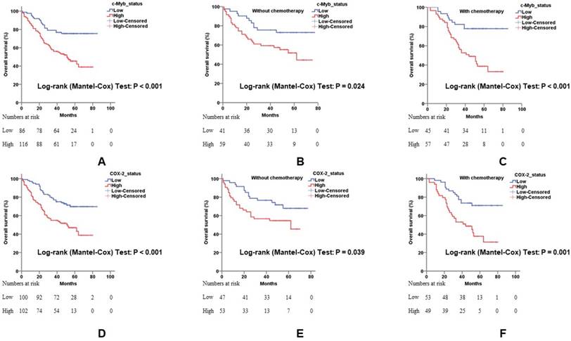 J Cancer Image