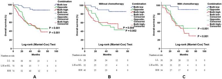 J Cancer Image