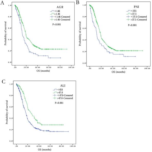 J Cancer Image