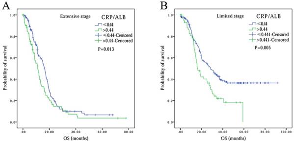 J Cancer Image