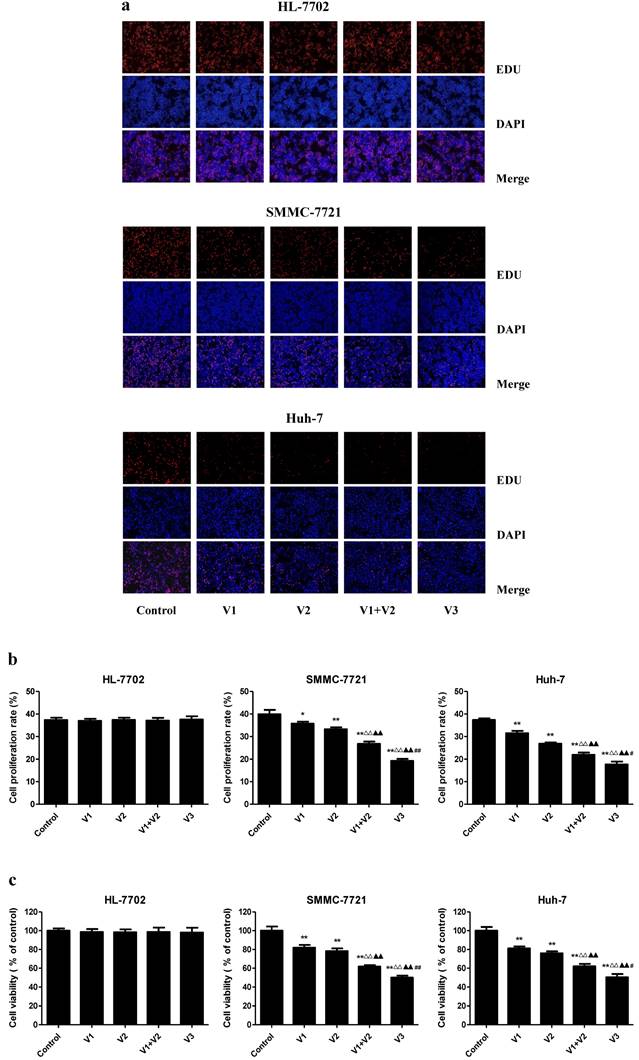 J Cancer Image