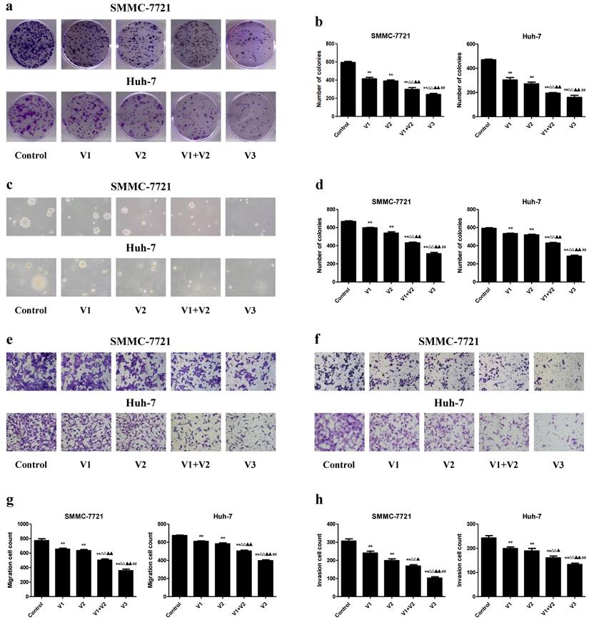 J Cancer Image