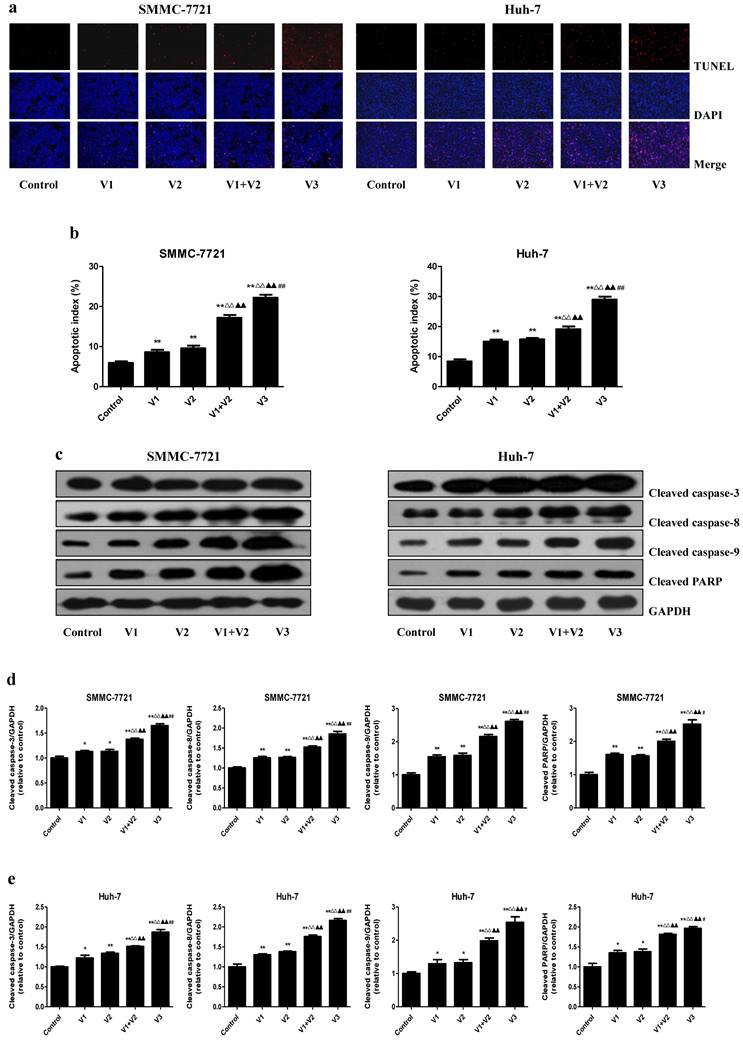 J Cancer Image