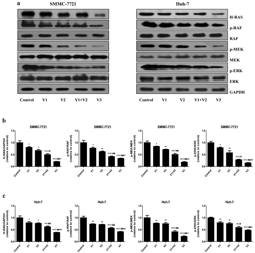 J Cancer Image