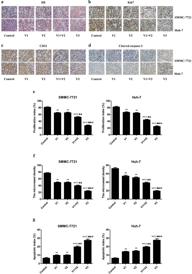 J Cancer Image