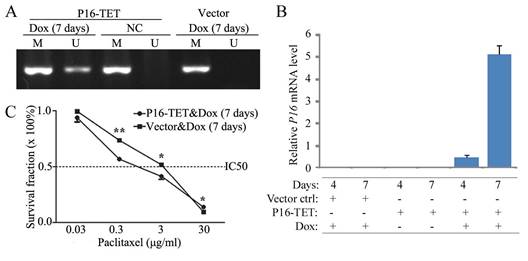 J Cancer Image