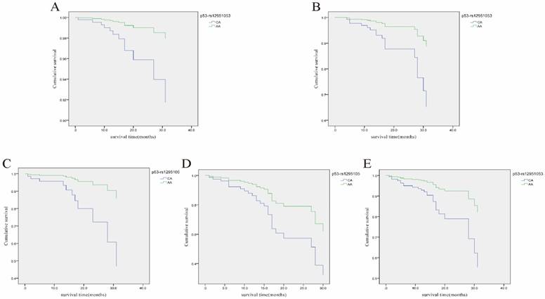 J Cancer Image