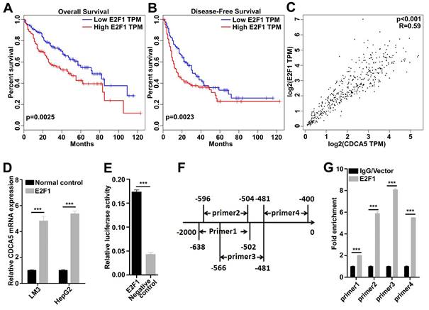 J Cancer Image