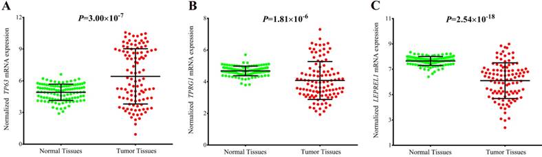 J Cancer Image