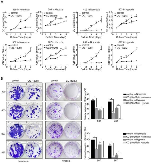 J Cancer Image