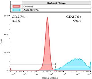 J Cancer Image