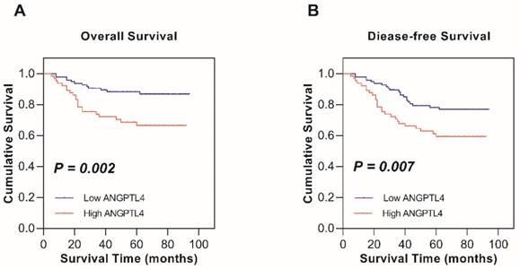 J Cancer Image