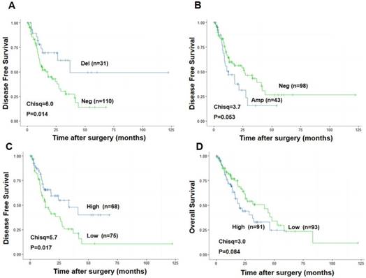 J Cancer Image