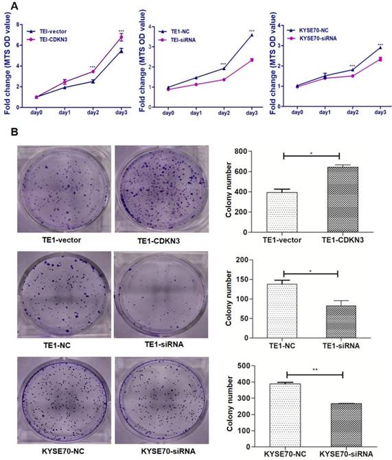 J Cancer Image