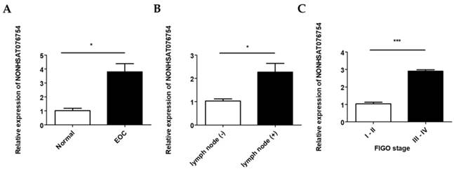 J Cancer Image