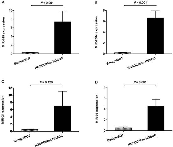 J Cancer Image