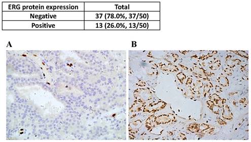 J Cancer Image