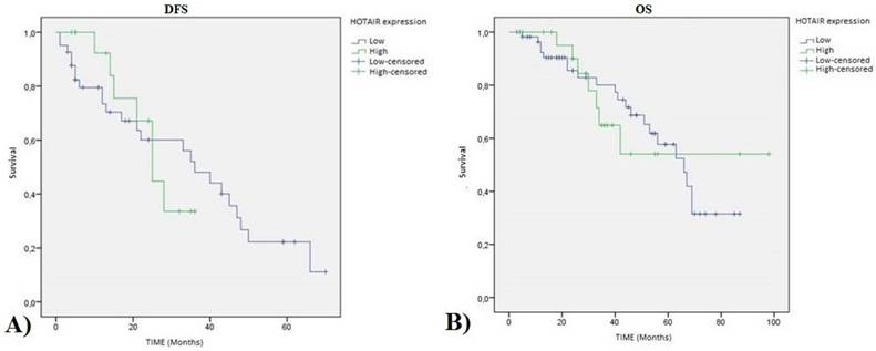 J Cancer Image