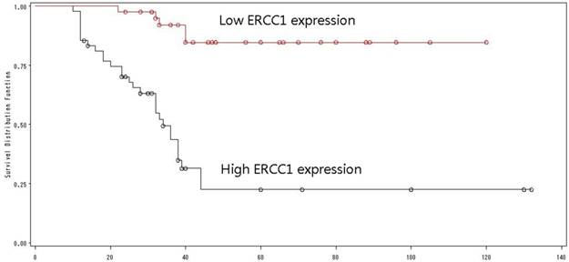 J Cancer Image