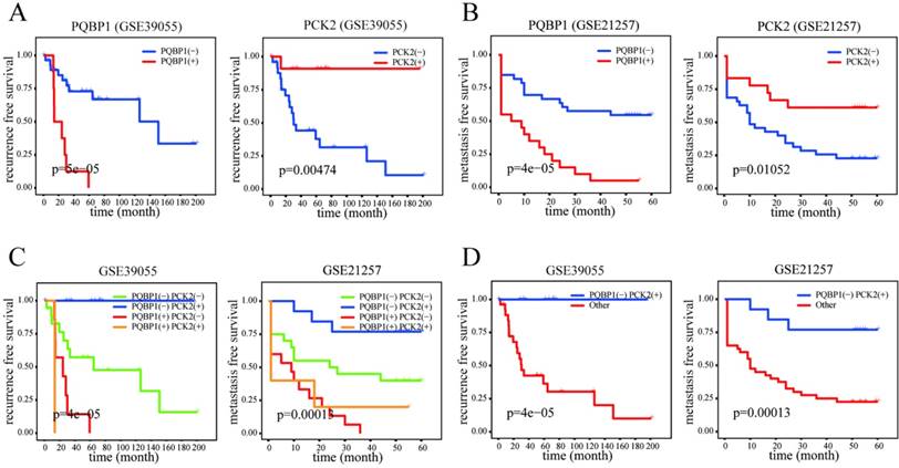 J Cancer Image