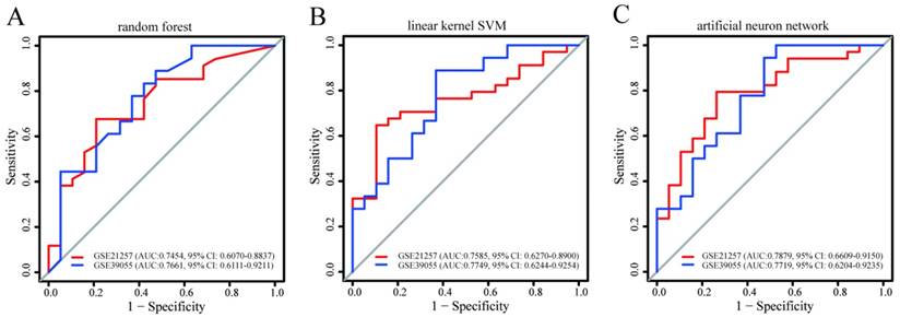 J Cancer Image