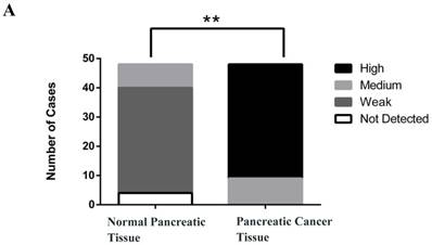 J Cancer Image