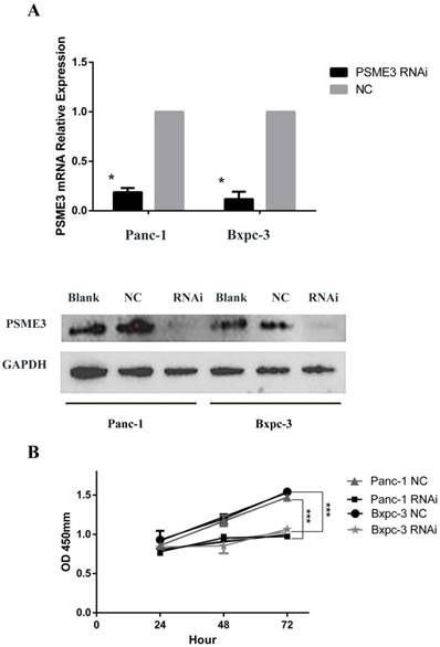 J Cancer Image