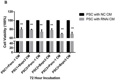 J Cancer Image