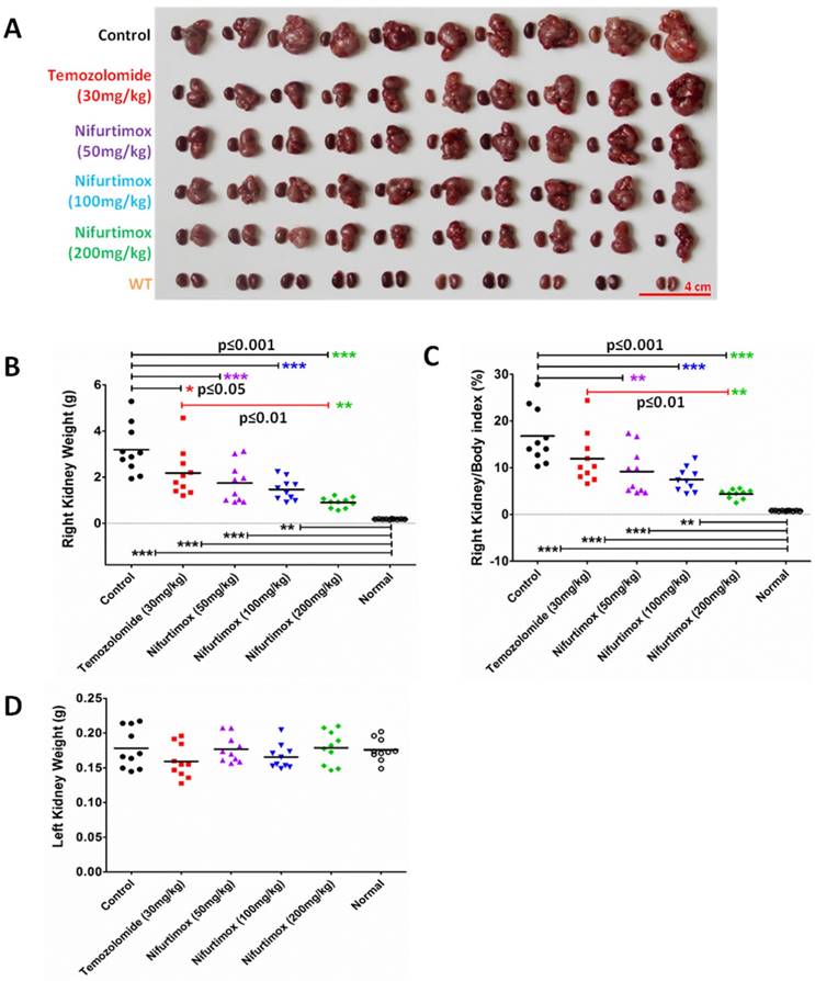 J Cancer Image