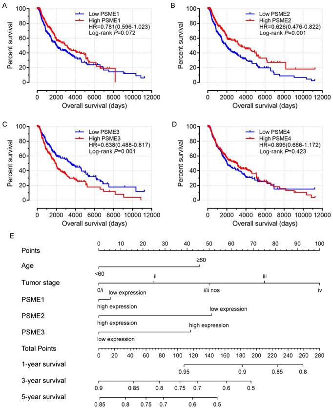 J Cancer Image