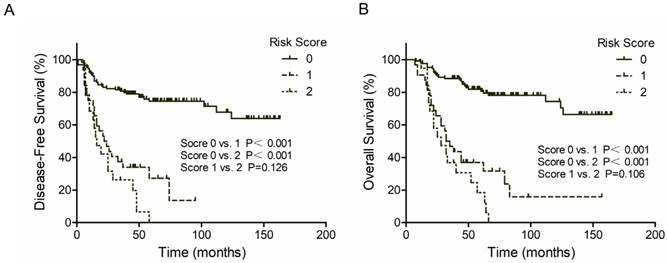 J Cancer Image