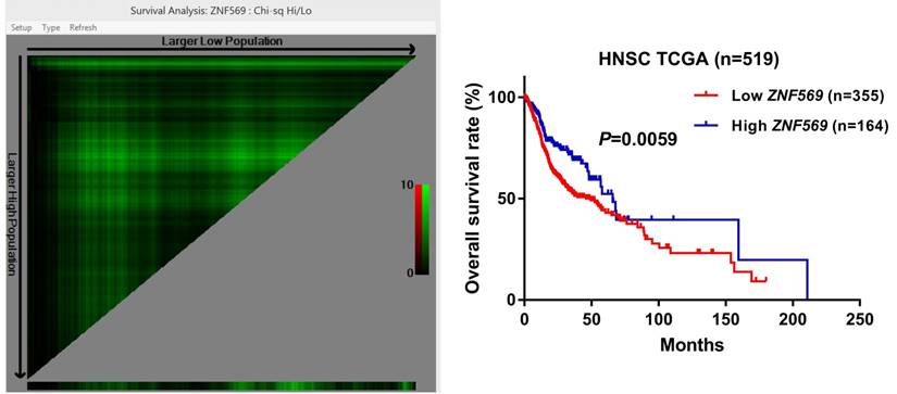 J Cancer Image