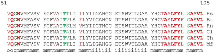 J Cancer Image