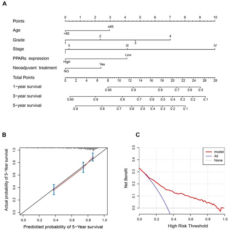 J Cancer Image