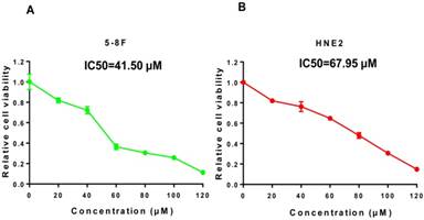 J Cancer Image