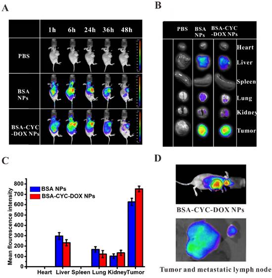 J Cancer Image