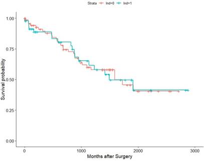 J Cancer Image