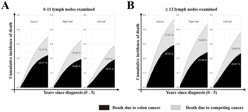 J Cancer Image