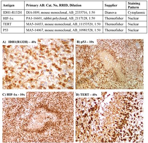 J Cancer Image