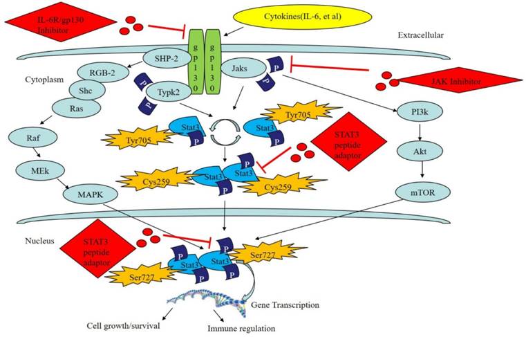 J Cancer Image