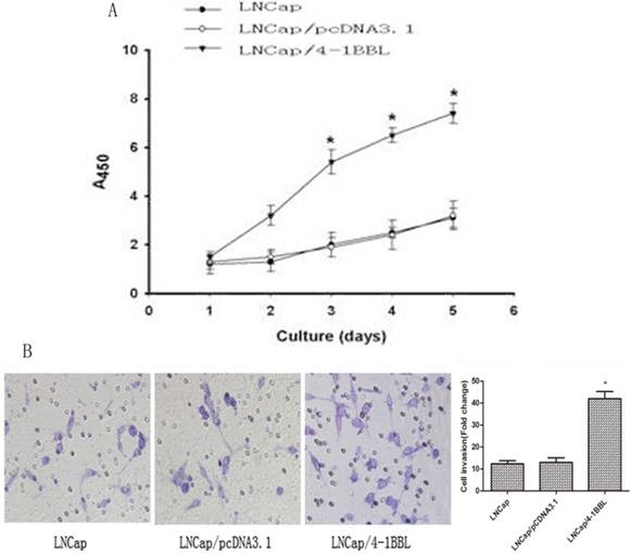 J Cancer Image