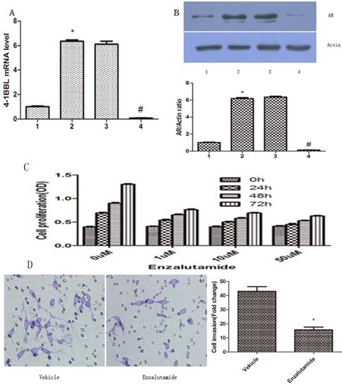 J Cancer Image