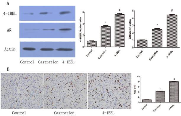 J Cancer Image