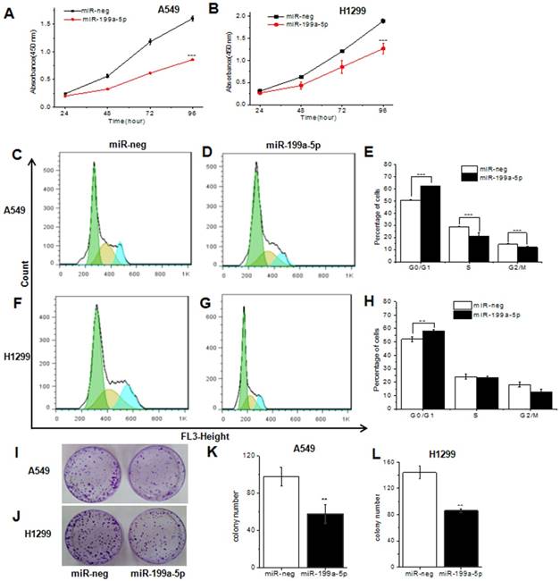 J Cancer Image