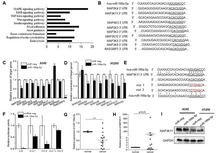 J Cancer Image