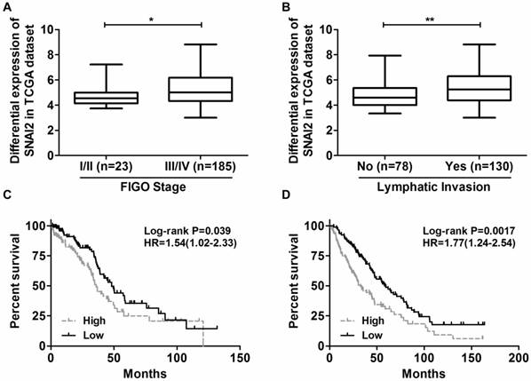 J Cancer Image