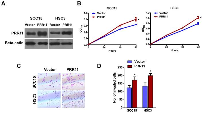 J Cancer Image